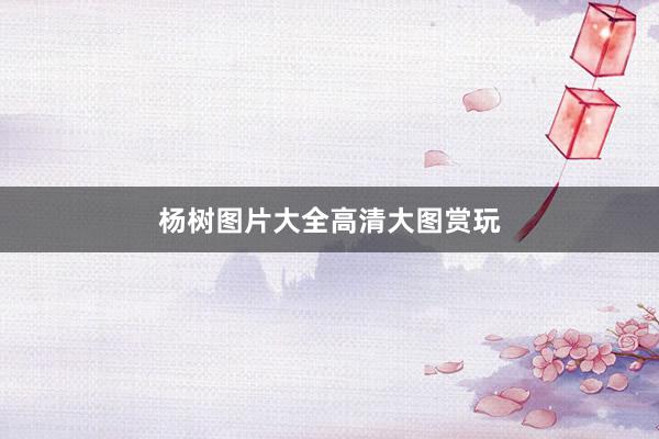 杨树图片大全高清大图赏玩